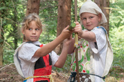 Abenteuer in Sherwood Forest