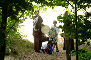 Abenteuer in Sherwood Forest