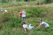 Abenteuer in Sherwood Forest