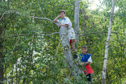 Abenteuer in Sherwood Forest