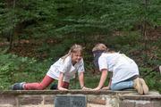 Abenteuer in Sherwood Forest