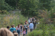 Abenteuer in Sherwood Forest