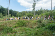 Abenteuer in Sherwood Forest