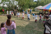 Abenteuer in Sherwood Forest