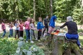 Wald- und Wiesentheater