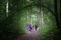 Wald- und Wiesentheater